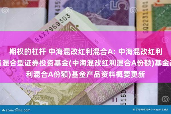 期权的杠杆 中海混改红利混合A: 中海混改红利主题精选灵活配置混合型证券投资基金(中海混改红利混合A份额)基金产品资料概要更新