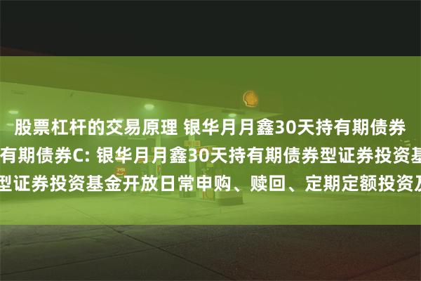 股票杠杆的交易原理 银华月月鑫30天持有期债券A,银华月月鑫30天持有期债券C: 银华月月鑫30天持有期债券型证券投资基金开放日常申购、赎回、定期定额投资及转换业务的公告