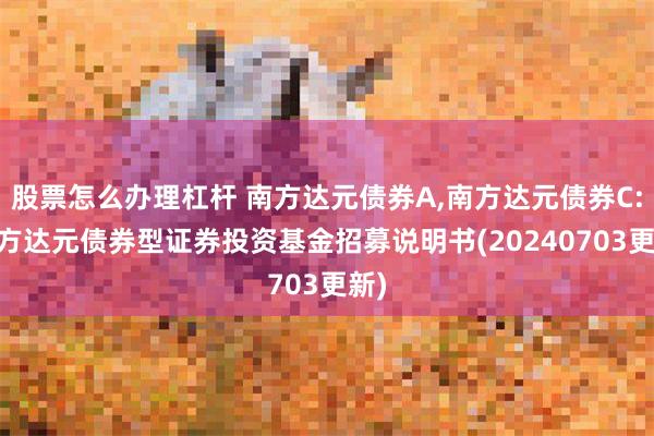 股票怎么办理杠杆 南方达元债券A,南方达元债券C: 南方达元债券型证券投资基金招募说明书(20240703更新)