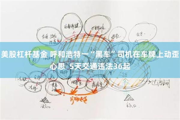 美股杠杆基金 呼和浩特一“黑车”司机在车牌上动歪心思  5天交通违法36起