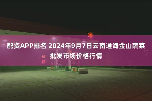 配资APP排名 2024年9月7日云南通海金山蔬菜批发市场价格行情