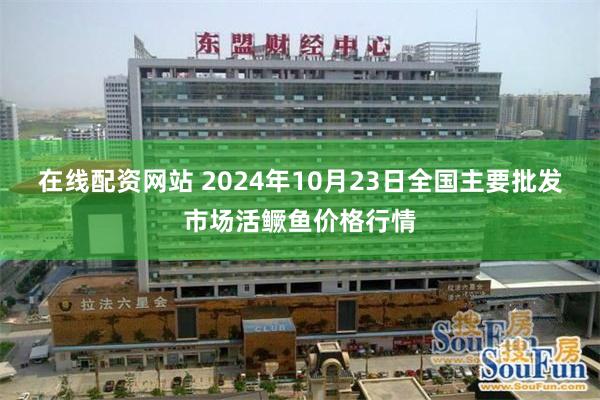 在线配资网站 2024年10月23日全国主要批发市场活鳜鱼价格行情