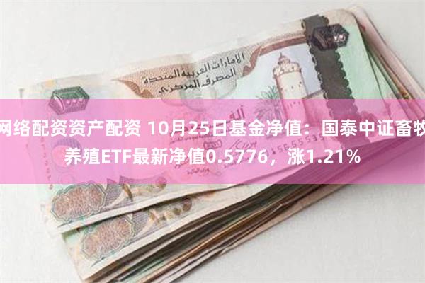 网络配资资产配资 10月25日基金净值：国泰中证畜牧养殖ETF最新净值0.5776，涨1.21%