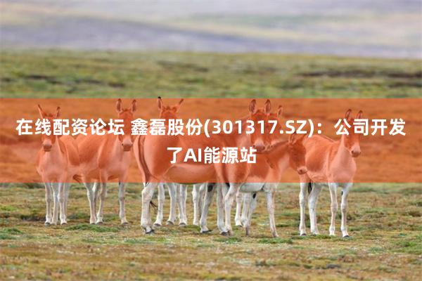 在线配资论坛 鑫磊股份(301317.SZ)：公司开发了AI能源站