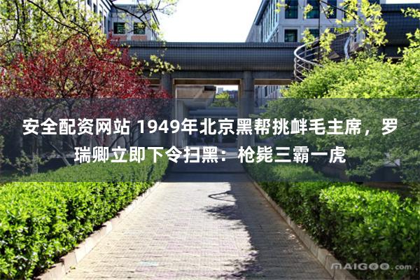 安全配资网站 1949年北京黑帮挑衅毛主席，罗瑞卿立即下令扫黑：枪毙三霸一虎