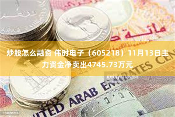 炒股怎么融资 伟时电子（605218）11月13日主力资金净卖出4745.73万元