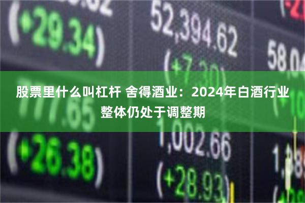 股票里什么叫杠杆 舍得酒业：2024年白酒行业整体仍处于调整期