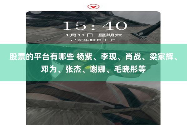 股票的平台有哪些 杨紫、李现、肖战、梁家辉、邓为、张杰、谢娜、毛晓彤等