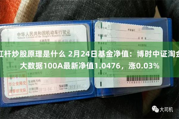 杠杆炒股原理是什么 2月24日基金净值：博时中证淘金大数据100A最新净值1.0476，涨0.03%